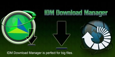IDM Internet Download Manager screenshot 0