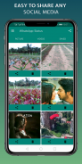 Status Saver for WhatsApp Image Video Downloader screenshot 1