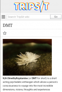 TripSit Mobile screenshot 2