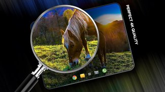 Fondos con caballos screenshot 4
