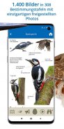 NABU Vogelwelt Vögel Bestimmen screenshot 5