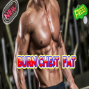 Burn Chest Fat Icon