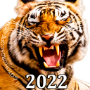 Horoscope 2022 - Chinese new year 2022 Tiger Icon