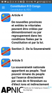 Constitution du RDC screenshot 1
