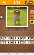 Dog Breeds Quiz screenshot 1