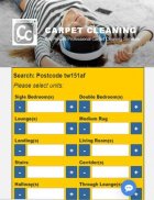 Carpet Cleaning Website screenshot 2