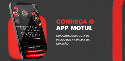 Motul Expert