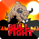 Bull Fight