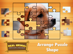 Animal Jigsaw Puzzles DayCare screenshot 2