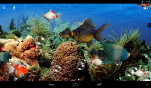Aquarium screenshot 5