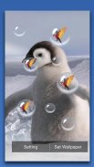 Penguin Live Wallpaper screenshot 1