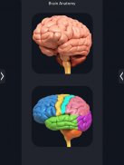 Brain Anatomy Pro. screenshot 6