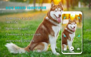 Dog breeds identifier, scanner app: Scan dogs screenshot 0