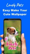 Cute Pets Wallpapers Background screenshot 6