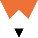 FiveThirtyEight Icon