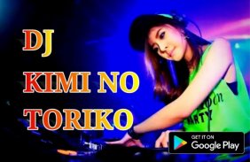 DJ Kimi No Toriko Remix 2020 Offline screenshot 0