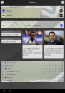 EFN - Unofficial Fulham Football News screenshot 0