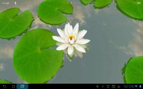 3D Lotus Pond Live Wallpaper screenshot 0