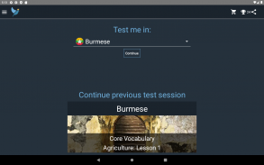 Burmese Language Tests screenshot 20