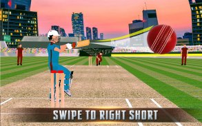 Campeonato de Cricket ICC Pro screenshot 2