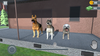 dierenasiel spel screenshot 9