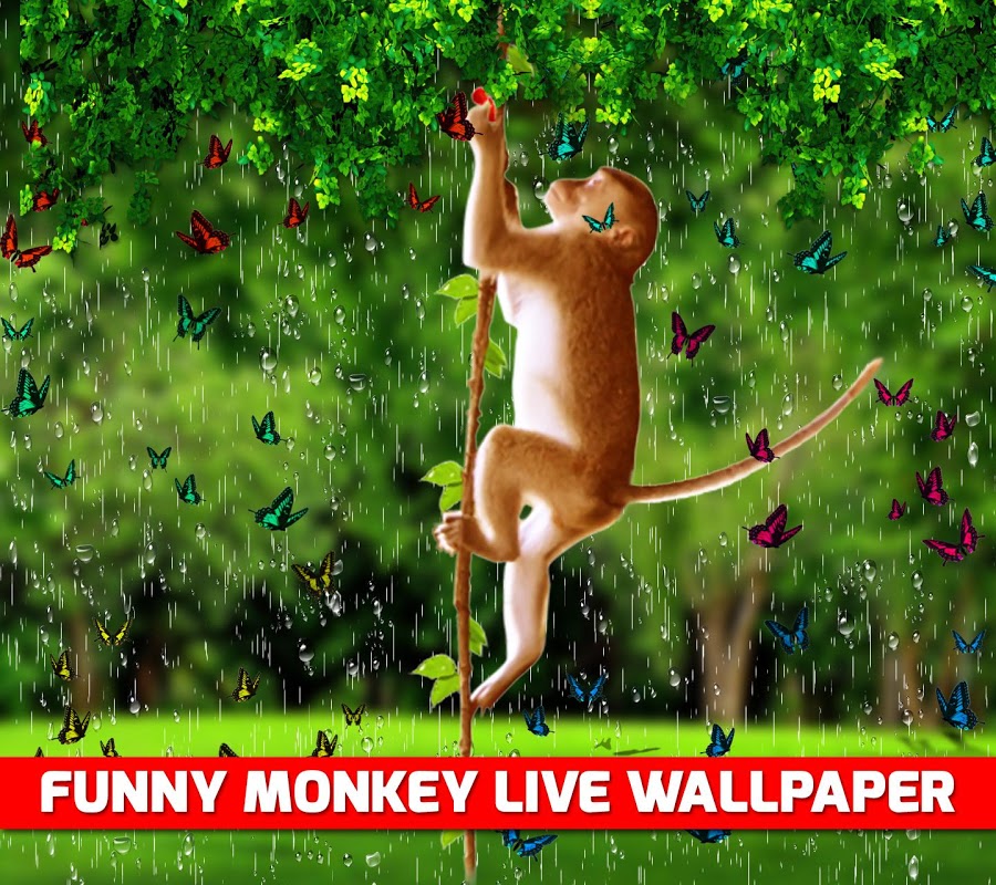Funny Monkey Live Wallpaper - APK Download for Android | Aptoide