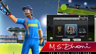 MSD: World Cricket Bash screenshot 3