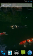 Real pond with Koi screenshot 3