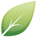 Shiny Leaf - Beauty & Wellness Icon