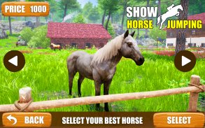 Ultimate Horse Jumping Show screenshot 3