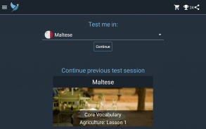 Maltese Language Tests screenshot 13