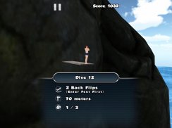 Cliff Diving 3D Free screenshot 4