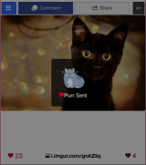 Cute & Funny Cats - Swipurr screenshot 4