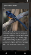 White-rumped shama screenshot 4