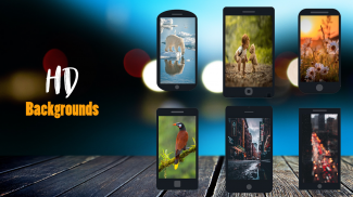 Backgrounds HD Wallpapers screenshot 6