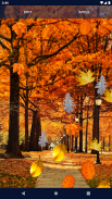 Autumn Leaves Live Wallpaper screenshot 4