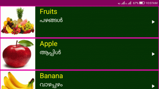 Learn English from Malayalam screenshot 5