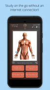 Anatomist – Anatomie Quiz Jeu screenshot 11
