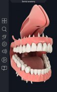 Dental  Anatomy screenshot 4