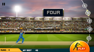 Bat2Win Free Cricket Game screenshot 4