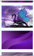 Purple Images Wallpapers screenshot 6