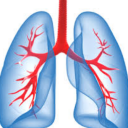 Breaths & Lung Sounds