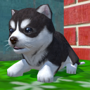 Cute Pocket Puppy 3D icon