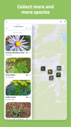 Flora Incognita - identificação de plantas screenshot 4
