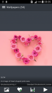 Pink Wallpapers screenshot 1