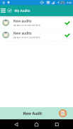 AuditList Site Audit Checklist screenshot 2