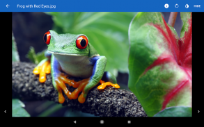 File Viewer for Android screenshot 3
