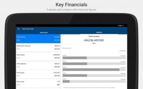 DFM Investor Relations screenshot 13