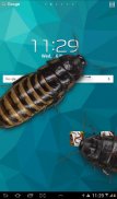 Cucaracha en Teléfono de broma screenshot 4