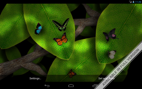 Tap Leaves Free Live Wallpaper screenshot 3